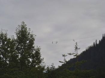 Cathy Fly’s On The Worlds Longest Zip Line Cathy Fly’s On The Worlds Longest Zip Line
